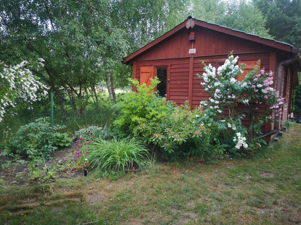 Domki Na Jeziorem Wilczynskim: Lakeside Cottages with A/C Zygmuntowo  Exterior photo